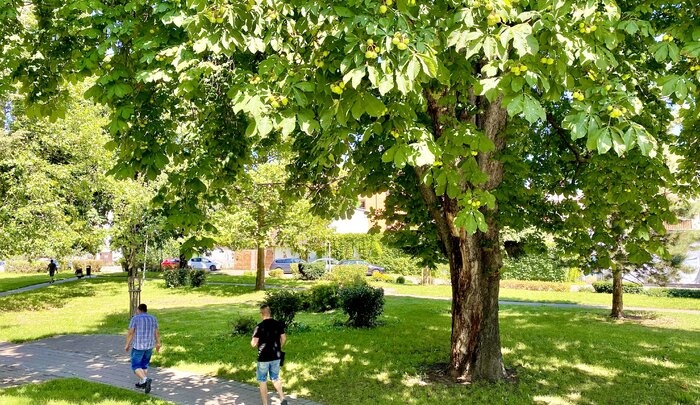 Konzultujeme revitalizaci parku za Hodoňankou